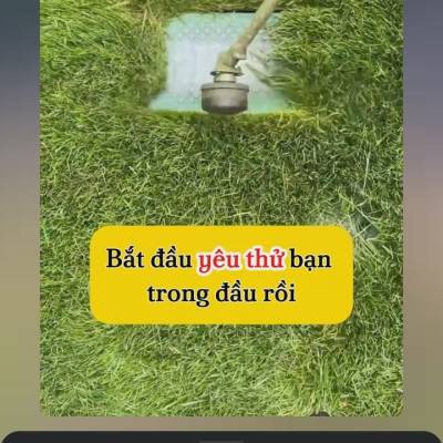 Trong Tinh